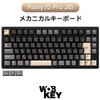 PR75BLK-JIS WOBKEY Rainy75 Pro JIS ブラック(日本語配列) WOBKEY 75537616