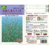 【タネ】宿根八重カスミ草 パニキュラータダブルホワイト カネコ種苗