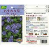 【タネ】わすれな草 ドワーフブルー カネコ種苗