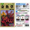 【タネ】金魚草 矮性・混合 カネコ種苗