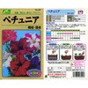 ペチュニア