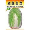 【タネ】結球白菜 カネコ種苗