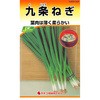 【タネ】九条ねぎ カネコ種苗