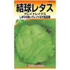 グレートレークレタス