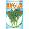 【タネ】葉がらし菜 カネコ種苗