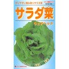 【タネ】サラダ菜 ウェアヘッド カネコ種苗