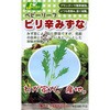 【タネ】ベビーリーフ_ピリ辛みずな カネコ種苗