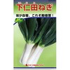 【タネ】下仁田ねぎ カネコ種苗