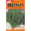 【タネ】日本ほうれんそう カネコ種苗