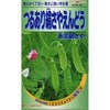 【タネ】つるあり絹さやえんどう 赤花絹さや カネコ種苗