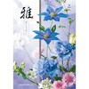 FMI 雅 葵(あおい) ノーブランド 75585828
