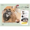 - Lサイズのおっきなにゃんこの金魚鉢 ドギーマン 75620110