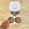 - なかよく食べる 自動給餌食器 ツイン ドギーマン 75620137
