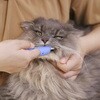 - PETKISS 指サック歯ブラシ コンパクト PETKISS 75620347