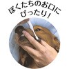- PETKISS デンタルブラシ PETKISS 75620399