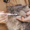 - PETKISS デンタルブラシ PETKISS 75620399