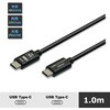 VV-UCUC010DT-G2 映像出力4K60Hz対応 USB-C 3.1/3.2 ケーブル  PD:60W  データー転送 Vodaview 75625220