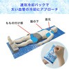 YERー19 防災士 熱中症対策アドバイザー監修 熱中対策セット 19点 YAMAZEN(山善) 75626620