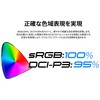 JN-IPSB27G260Q-HSP 27型/2560×1440/HDMI、DP JAPANNEXT 75662207