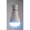 LPRECHR625/4W/850/100VFRE26 防災用蓄電型LED電球 (一般電球50W形相当) オスラム 75671045