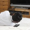 20123 楽々正座いす(コンパクトタイプ) トレードワン 75676697