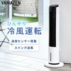 FCR-BWG405(W) 冷風扇 冷風機 扇風機 リモコン式 風量5段階 左右首振り YAMAZEN(山善) 75691309