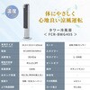 FCR-BWG405(W) 冷風扇 冷風機 扇風機 リモコン式 風量5段階 左右首振り YAMAZEN(山善) 75691309
