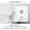 YWRX-BGD307(W) 扇風機 壁掛け扇風機 DCモーター 30cm 上下左右自動首振り 風量5段階 タイマー 静音 YAMAZEN(山善) 75691361