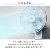 YWRX-BGD307(W) 扇風機 壁掛け扇風機 DCモーター 30cm 上下左右自動首振り 風量5段階 タイマー 静音 YAMAZEN(山善) 75691361