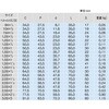 21MDS SUS316L 2P 管用ネジ付アダプター SUS316L 2P トーステ 75707949