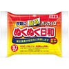 ホッカイロ ぬくぬく日和 貼る 興和新薬ヘルスケア