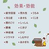 - 日本の名湯 乳頭 バスクリン 75714652