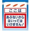 75750333