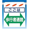 75750543