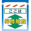 75750683