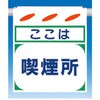 75750744