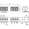 ML-41-S1BYS-8P [q vgp  ML-41 Tg[p[c 75760623