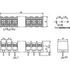 ML-40-S1BYF-19P [q vgp  ML-40 Tg[p[c 75761034