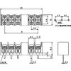 ML-260-S1B3YF-6P [q vgp  ML-260 Tg[p[c 47616809