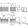 ML-260-S1G1YF-10P [q vgp  ML-260 Tg[p[c 75766503
