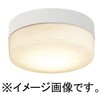 EL-WC0601L/K AHN 一般灯 天井面 壁面取付兼用 防雨形 軒下用 シーリング LED一体形 三菱電機 75780586