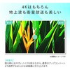 43E65G 43型 4K液晶テレビ Hisense(ハイセンス) 75930603