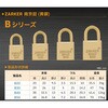 B50 真鍮南京錠 ZARKER(ザーカー) 76046419