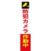 防犯カメラ看板 反射タイプ グリーンクロス