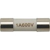 76097856