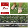 2m×10m ターフグランデ プレミアム 人工芝 NITTOSEKKO 76104939