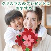 58772 フェルトブーケ クリスマス アーテック[学校教材・教育玩具] 76110146