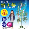 75810 七夕特大笹 2m こより短冊セット アーテック[学校教材・教育玩具] 76110338