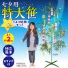 75810 七夕特大笹 2m こより短冊セット アーテック[学校教材・教育玩具] 76110338