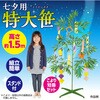 75851 七夕特大笹 1.5m こより短冊セット アーテック[学校教材・教育玩具] 76110347
